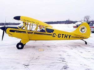Picture of Aviat A-1a