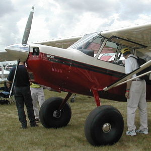 Picture of Bellanca 8gcbc Scout