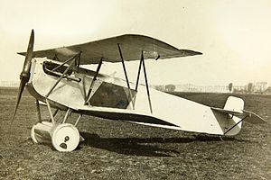 Picture of Fokker D.ix
