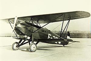 Picture of Fokker D.xvi