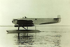 Picture of Fokker T.iii