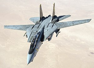Picture of Grumman F-14 Tomcat