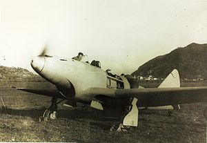 Picture of Piaggio P.119