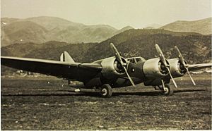 Picture of Piaggio P.16