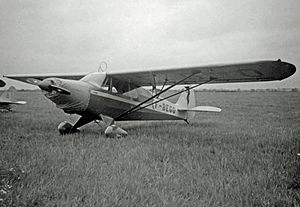 Picture of Piper Pa-14 Family Cruiser