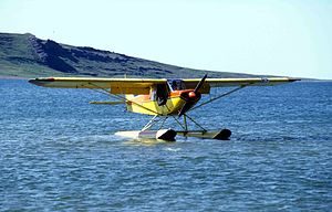 Picture of Piper Pa-18 Super Cub