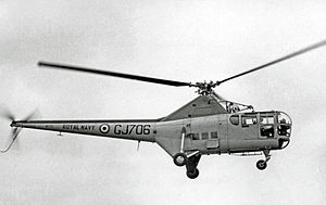 Picture of Westland Dragonfly