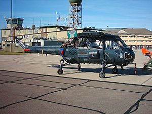 Picture of Westland Wasp